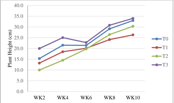 Figure 1: Effect of Different Tillage Practices On the Plant Height of Potato 