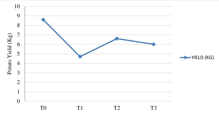 Figure 5: Effect of Different Tillage Practices On Plant Cover Area of Potato 