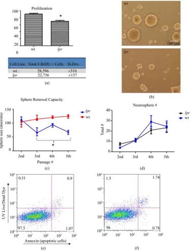 Figure 2. Abrogated proliferation and sphere growth in lpr lprsage number 3, 4, and 5 (*days