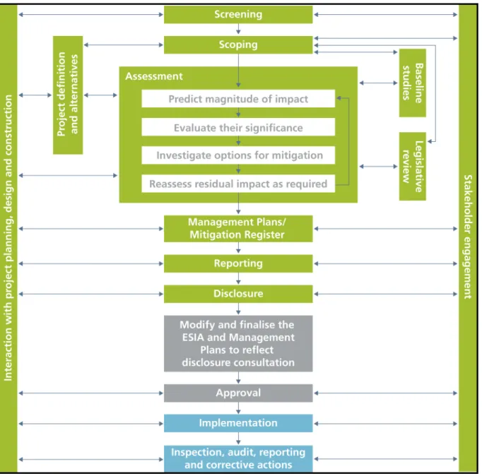 Figure 3-1: The ESIA Process  
