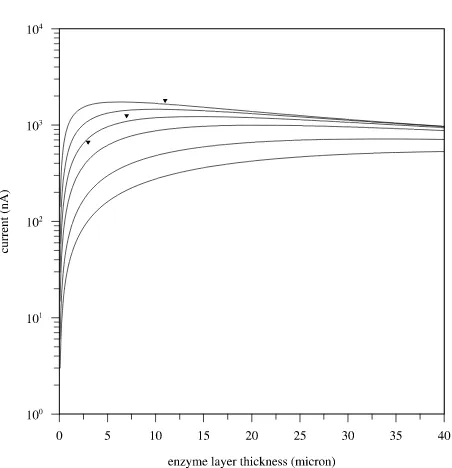 Table 1. Diffusion coefficients in water at 25˚C. 