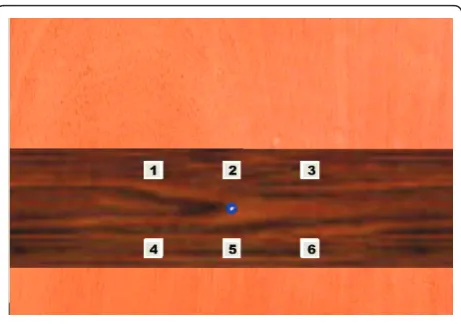 Figure 1 The virtual environment scene, viewed through thehead-mounted display and the large screen projection duringarm pointing tasks, consisting of six targets arranged in tworows in the ipsilateral, central and contralateral armworkspace