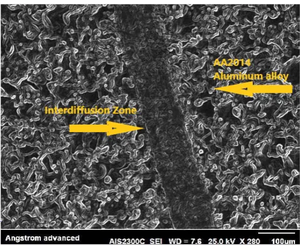 Figure 6. Optical microscope of bonded joints. 