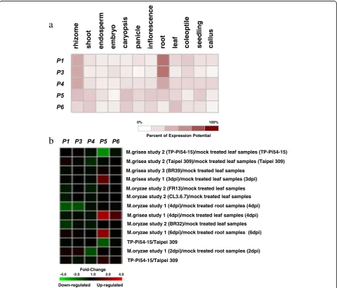 Fig. 4 Expression patterns of five candidate genes P1, P3-P6 based on microarray data from the GENEVESTIGATOR