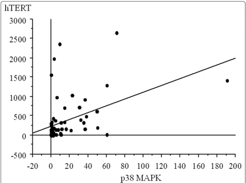 Figure 1 Correlation between p38 and hTERT in all samples. There was a significant correlation between the values of p38 expression andthose of hTERT, with increased p38 expression with higher hTERT in all samples (r = 0.445, p = 0.0001).