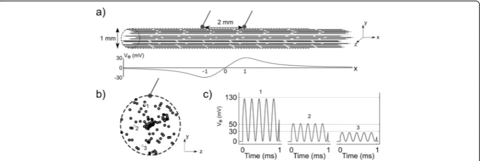 Fig. 2 Modeling nerve stimulation. a Model nerve fibers were placed within and parallel to a cylinder of diameter 1 mm, and bipolar pointsource stimulation was applied along the edge of the cylinder