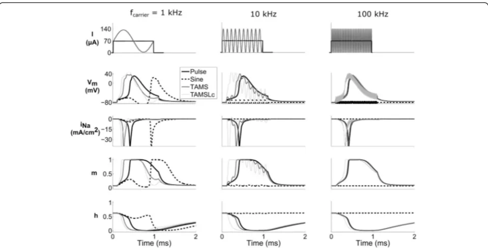 Fig. 7 Membrane parameters during stimulation with pulse, sine, TAMS and TAMSLc. Each column represents a different (carrier) frequency,evoked in all cases, except for the 10 kHz and the 100 kHz sine