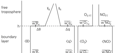 Figure 2. Typical mixed-layer proﬁles of potential temperature (θ),speciﬁc humidity (q) and chemical species (in this case O3 andNO)