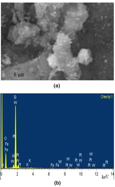 Fig.3: Electron microscopic image(a)  and