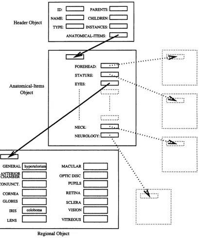 Figure 3.3: Object case structure.