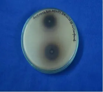 Table 3. Antimicrobial activity of the Copper compounds against bacterial pathogens  