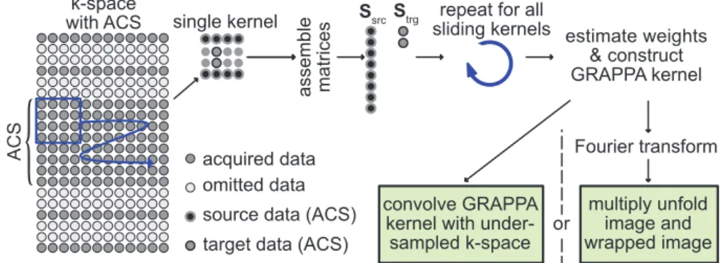Figure 3.7: Schematic illustration of the GRAPPA algorithm: Examplary undersampled k-space (R = 3) and central ACS region