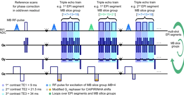 Figure 4.1: Sequence diagram for SMS acquisition using a segmented EPI with multiple contrasts