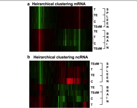 Fig. 4 Hierarchical heat map of gene expression of (used in analysis by hierarchical clustering with Gene Cluster 3.0