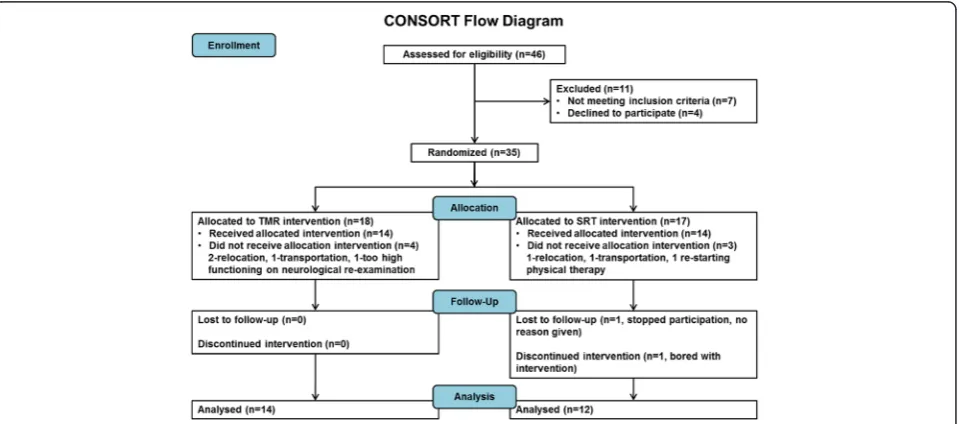 Fig. 1 CONSORT flow diagram