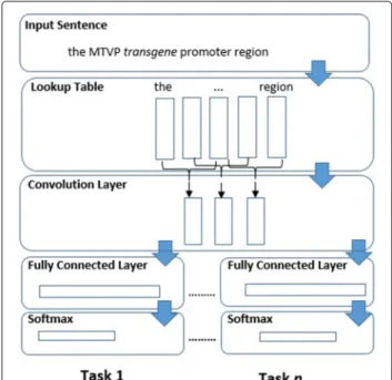 Fig. 2 Multi-output multi-task convolutional model
