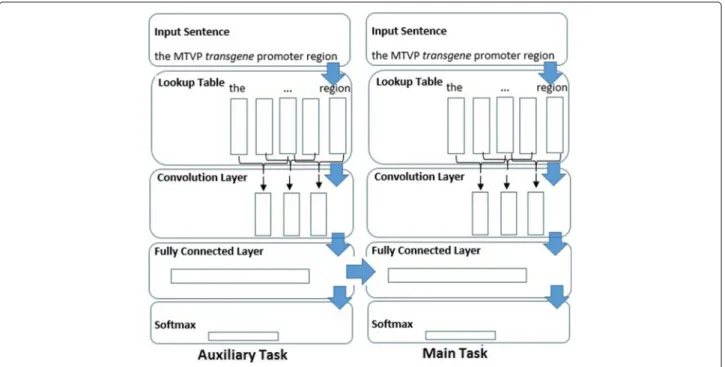 Fig. 3 Multi-task dependent convolutional model