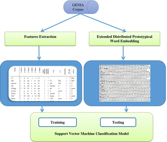 FIGURE 1 .  Overflow of the used Methodology 
