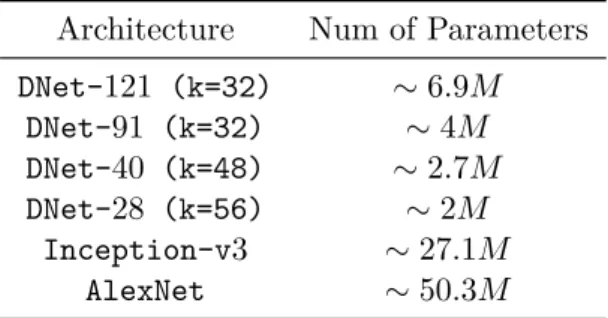 Table 2.1: Number of parameters (weights and biases) of some of the models we used.