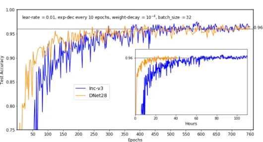 Figure 3.2: (main) Training from scratch Inception-v3 and DenseNet-28 on SEM dataset up to 760 epochs