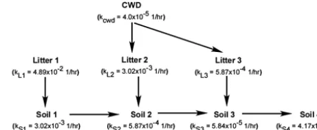 Figure 1. Soil carbon pool structure of CLM4-CN. The arrows rep-resent the decomposition pathways, and k is the turnover rate ofeach pool.