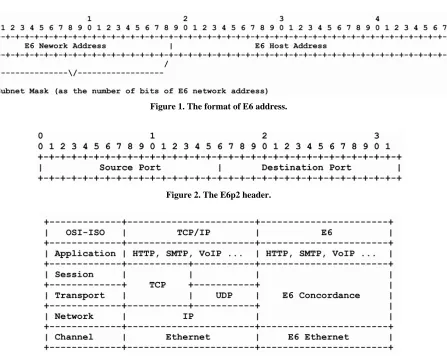 Figure 1. The format of E6 address.  