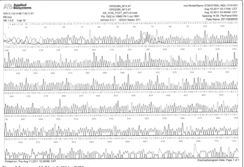 Figure 4 Expression and biological activity of PHD3. (A) PHD3 mRNA was measured by quantitative real-time RT-PCR.Lipofectamine Cells transfectedwith PHD3 significantly overexpressed PHD3, compared with the control groups (all P=0.00)