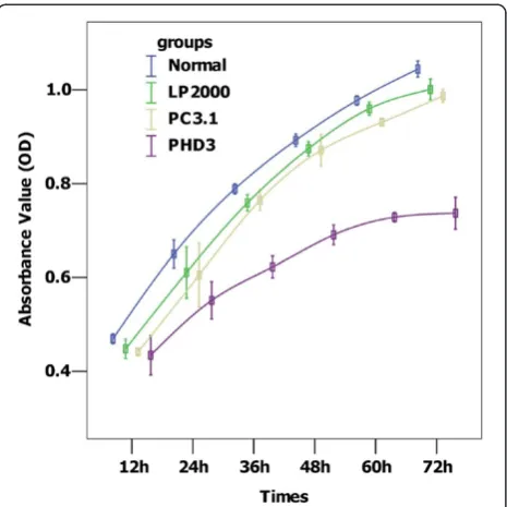 Figure 6 Activation of caspase-3. Cells transfected with the cleaved 17 kD active caspase-3 fragment of PHD3 expressed more proteinLipofectaminethan the control groups (all P=0.00)