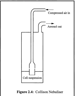 Figure 2.4: Collison Nebuliser