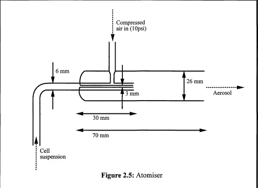 Figure 2.5: Atomiser