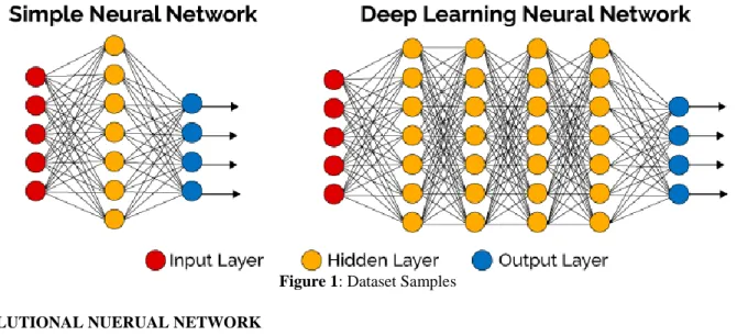 Figure 1: Dataset Samples 