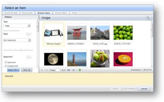 Figure 19: Selecting an  image to insert in the rich  text area  