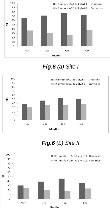 Fig.6 (a) Site I 