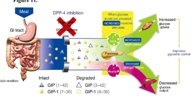 Figure 11.  