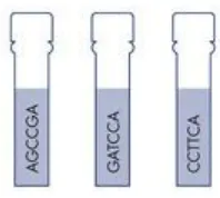 Fig (4): Sequence Parameter 