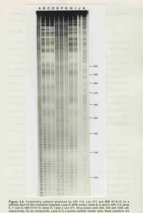 Figure 3.6. Footprinting patterns produced by ARI 114, Lex 371 and MW 97-8-13 on a 