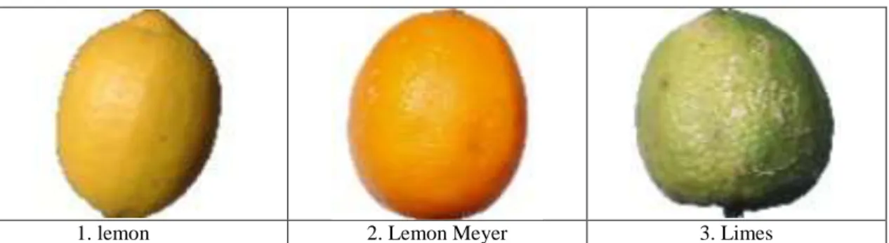 Figure 1: Lemon Classification Dataset 