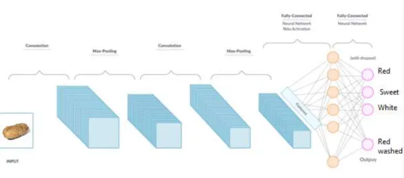 Figure 1: CNN Architecture