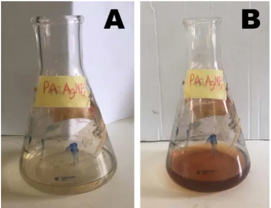 Figure 1: Synthesis of the Almond leaf extract mediated silver nanoparticles (a) immediately after the addition of the almond leaf 