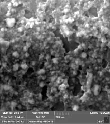 Figure 5: Field Emission Scanning Electron Micrograph of the Synthesized AgNPs 
