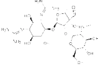 Figure 5 Streptomycin 