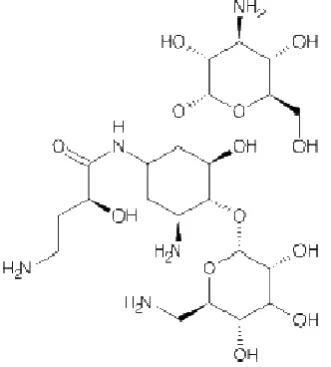 Figure 6 Amikacin 