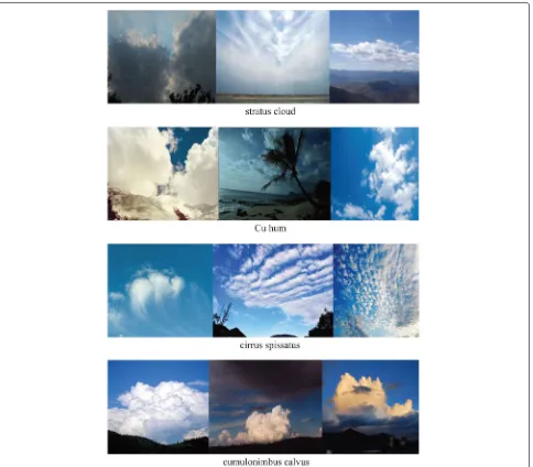 Fig. 5 Meteorological nephogram sample images. The figure shows the characteristics of four typical meteorological nephogram samples,including stratus clouds, Cu hum, cirrus spissatus, and cumulonimbus calvus