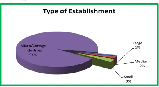 Figure 8: Types of Establishment 