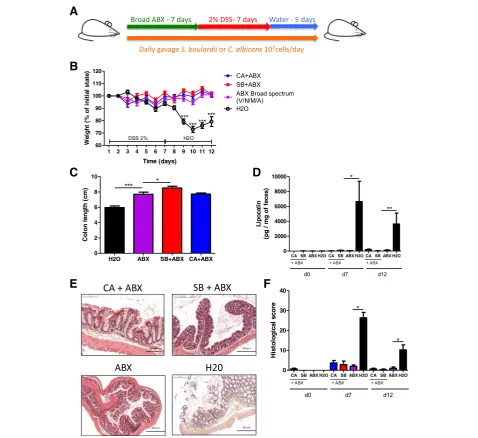 Fig. 2 Broad-spectrum ABX protect against DSS-induced colitis, and fungi have limited effects on DSS-induced colitis in their presence