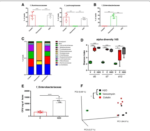 Fig. 4 Assessment of microbiota composition after vancomycin or colistin antibiotic treatment.the phylum level in the feces of mice treated with colistin, vancomycin, and vehicle.microbiota (16S) in the fecal microbiota of mice treated with vancomycin (V),