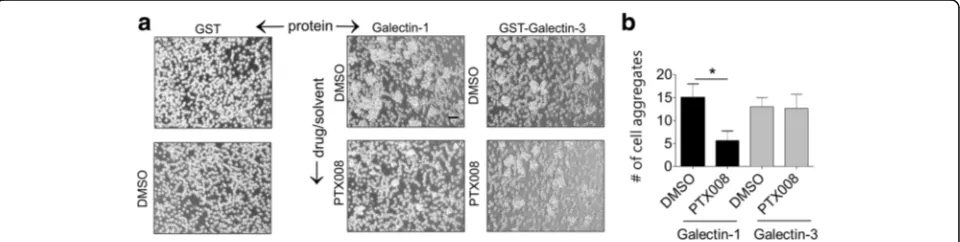 Fig. 2 PTX008 inhibits binding of Galectin-1 to the surface of ALL cells. LAX56 cells (2 × 104) were plated without OP9 stroma and treated for 1 hwith DMSO or 10 μM PTX008