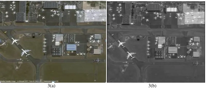 Figure-3. (a) & (b). Input image and grey scale image. 