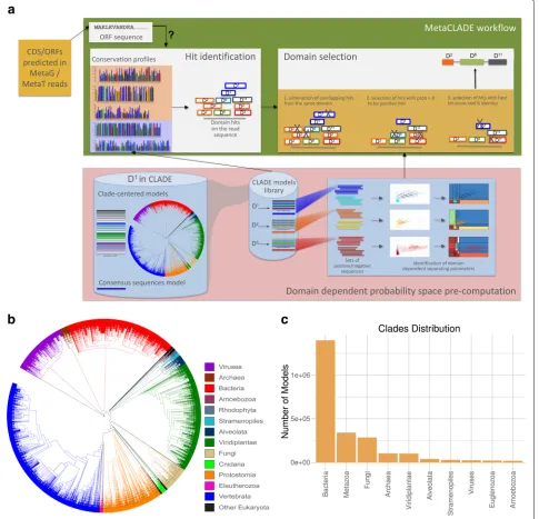 Fig. 1 The MetaCLADE workflow.illustrated in white boxes. MetaCLADE input data is constituted by (i) a set of reads to be annotated where ORFs have been already identified and (ii)the CLADE model library