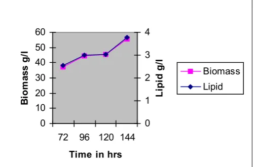 Fig. 1.2. Production of Lipid by SC-1 at different time intervals 